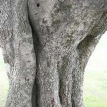 Profielfoto van Henry58