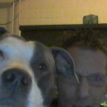 Profielfoto van frans_venray