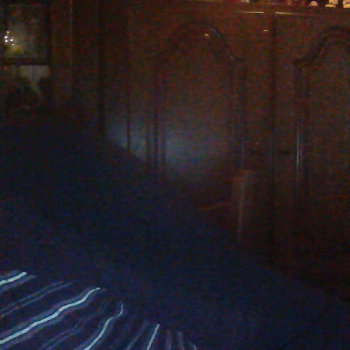 Profielfoto van bosschie