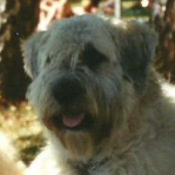 Profielfoto van truus