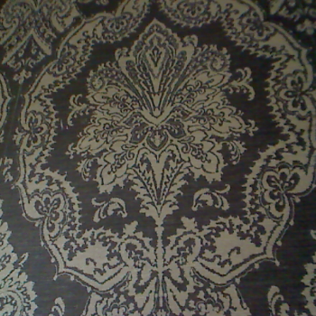 Profielfoto van silverfox