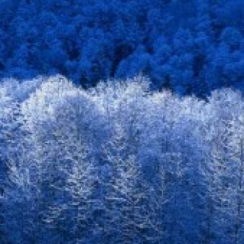 Profielfoto van Cor040