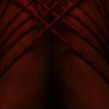 Profielfoto van VEETIKVEEL