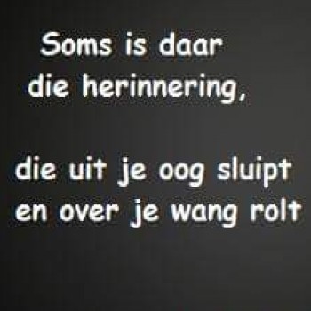 Profielfoto van martin