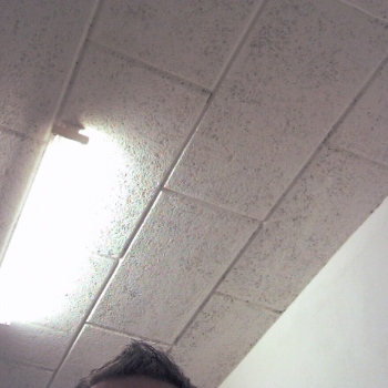 Profielfoto van maxx ff