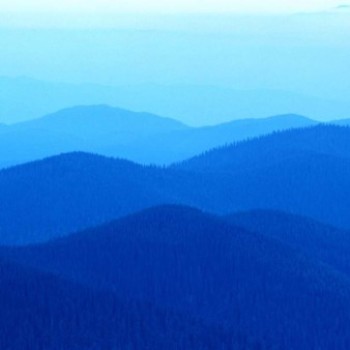 Profielfoto van Casanova