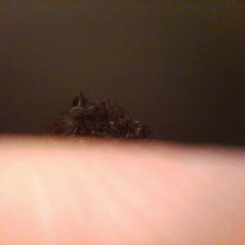 Profielfoto van kampioen20