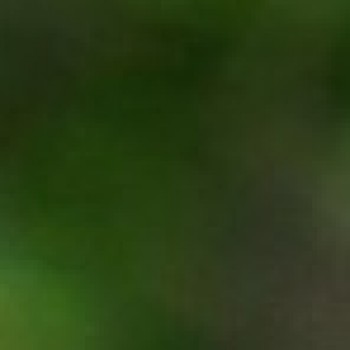 Profielfoto van ronaldoo