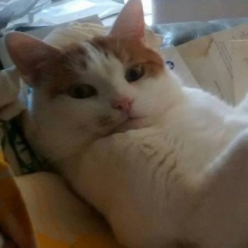 Profielfoto van Dailie52