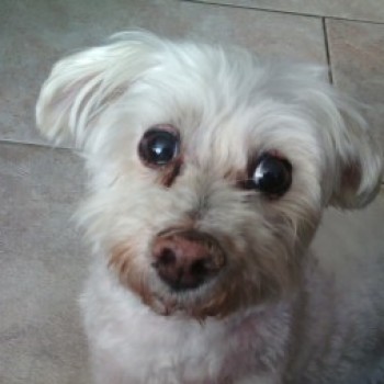 Profielfoto van aad45