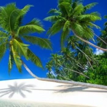 Profielfoto van DennHD77