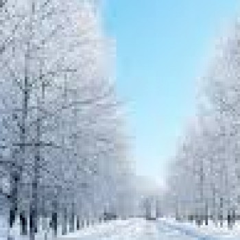 Profielfoto van JohnnyBrabant