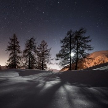 Profielfoto van Levent