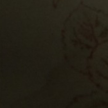 Profielfoto van Ruud010