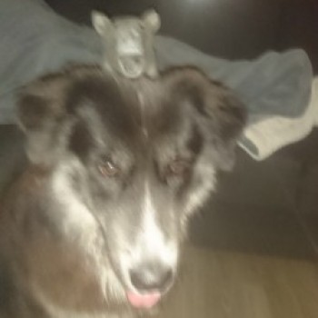 Profielfoto van Doney17