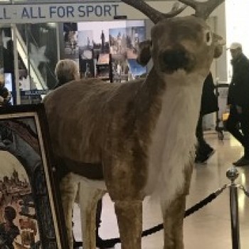 Profielfoto van Jeanpol