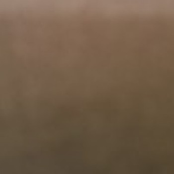 Profielfoto van Papito