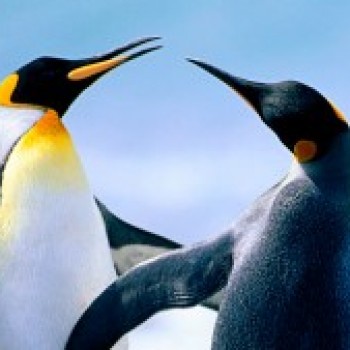 Profielfoto van markie