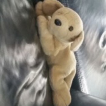 Profielfoto van Ruudk