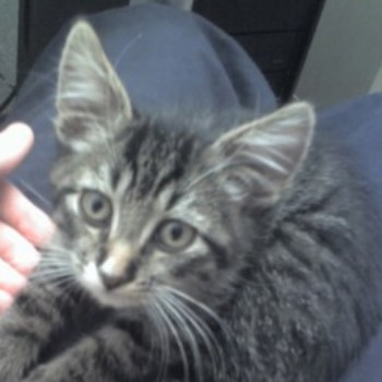 Profielfoto van maxi