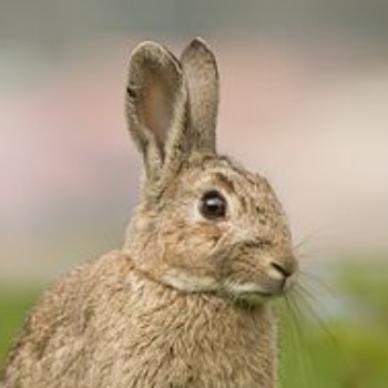 Profielfoto van Christiaan