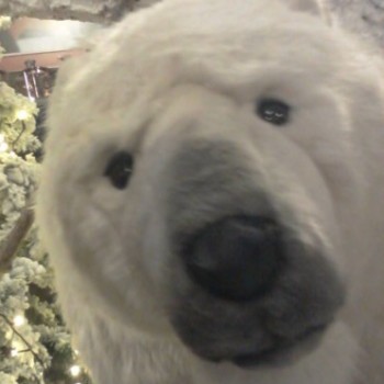 Profielfoto van David1967