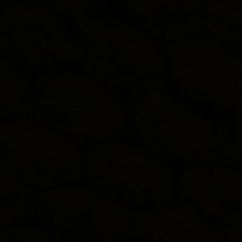 Profielfoto van Fabio