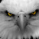 Profielfoto van Eagle_Eyes