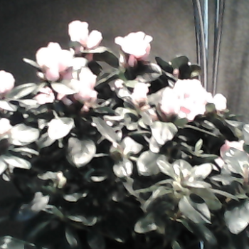 Profielfoto van carl