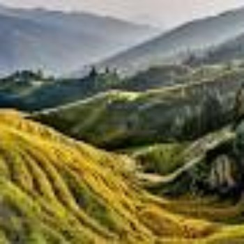 Profielfoto van vinnie32