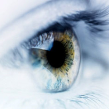 Profielfoto van The Sight