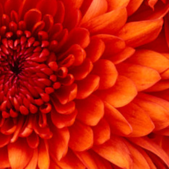 Profielfoto van afspreke?