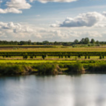 Profielfoto van soloboy