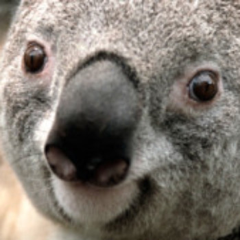 Profielfoto van Michel