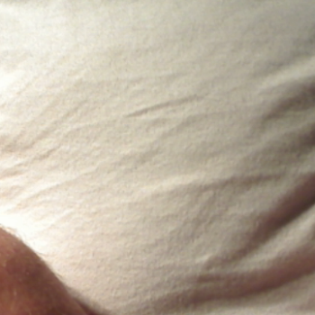 Profielfoto van Alva