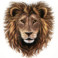 Profielfoto van Lion Heart