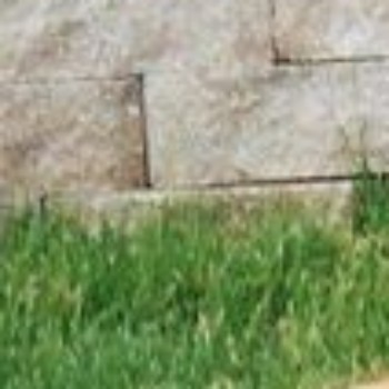 Profielfoto van Youri