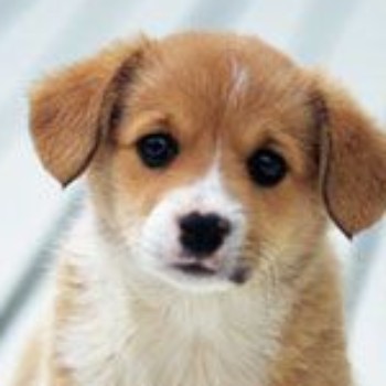 Profielfoto van mark36