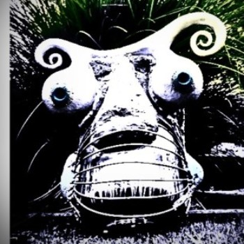 Profielfoto van peerkes