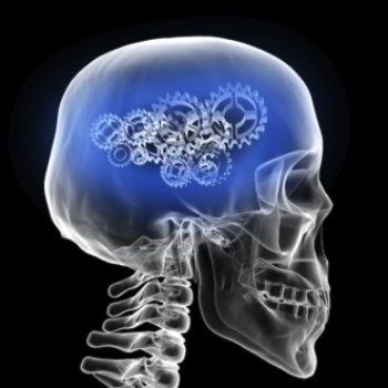 Profielfoto van crack-brained