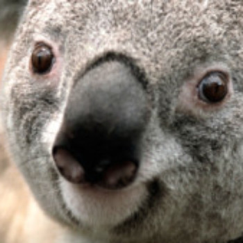 Profielfoto van kneh123