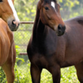 Profielfoto van oskar69