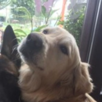 Profielfoto van locertje73