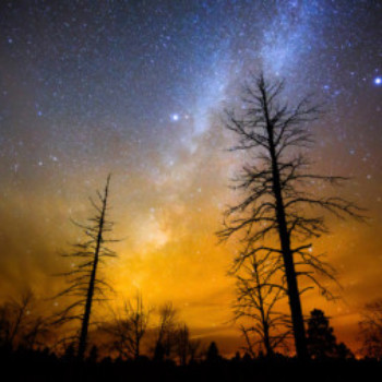 Profielfoto van Blondies