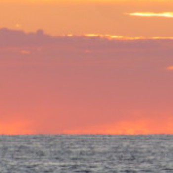 Profielfoto van wasupps