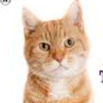 Profielfoto van danny