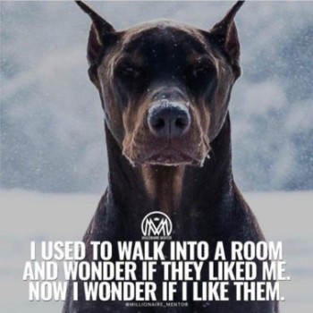 Profielfoto van yoyo