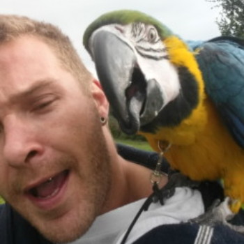 Profielfoto van DNovaNL038