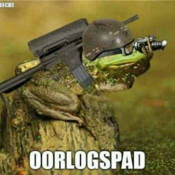 Profielfoto van BasjeTiel