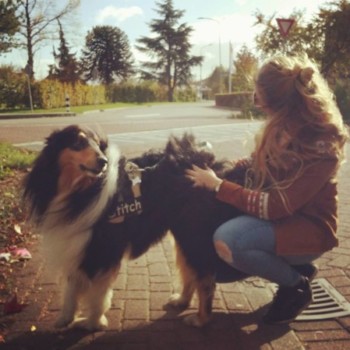 Profielfoto van Mand